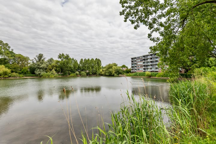 Foto 34 van Heuvel 153