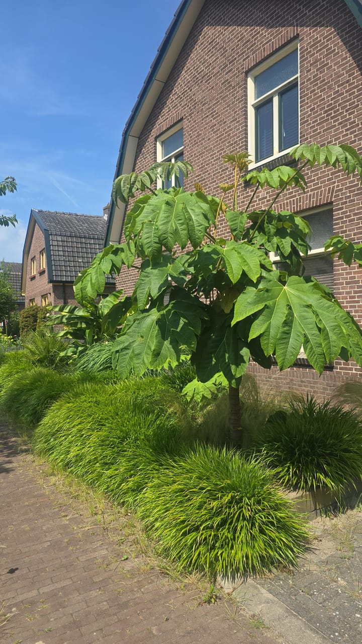 Enkweg 21