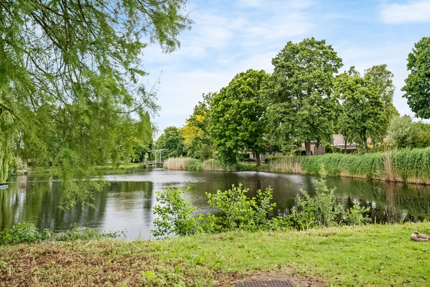 Foto 5 van Choristenpad 81