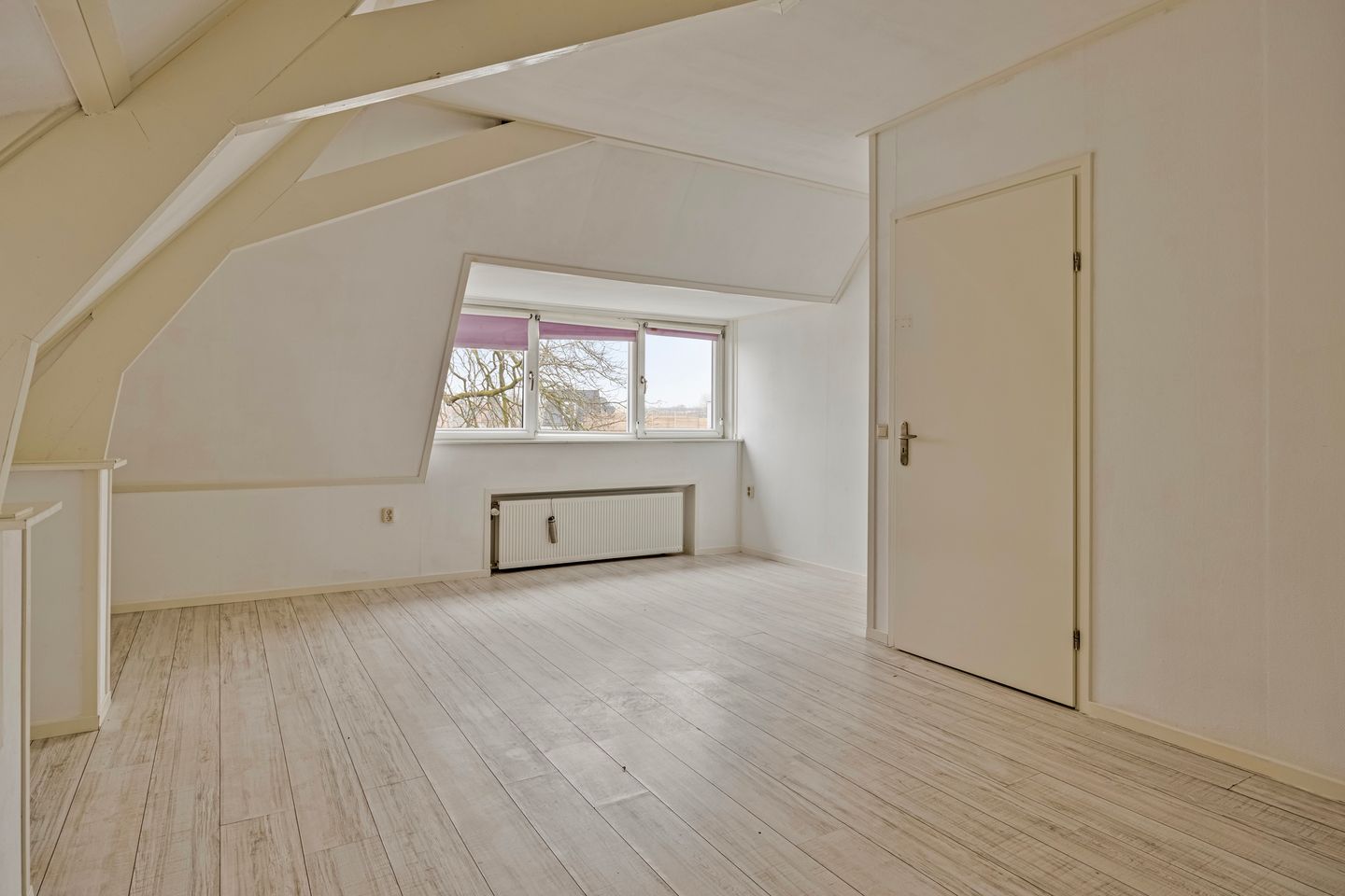 Foto 35 van Johannaweg 1