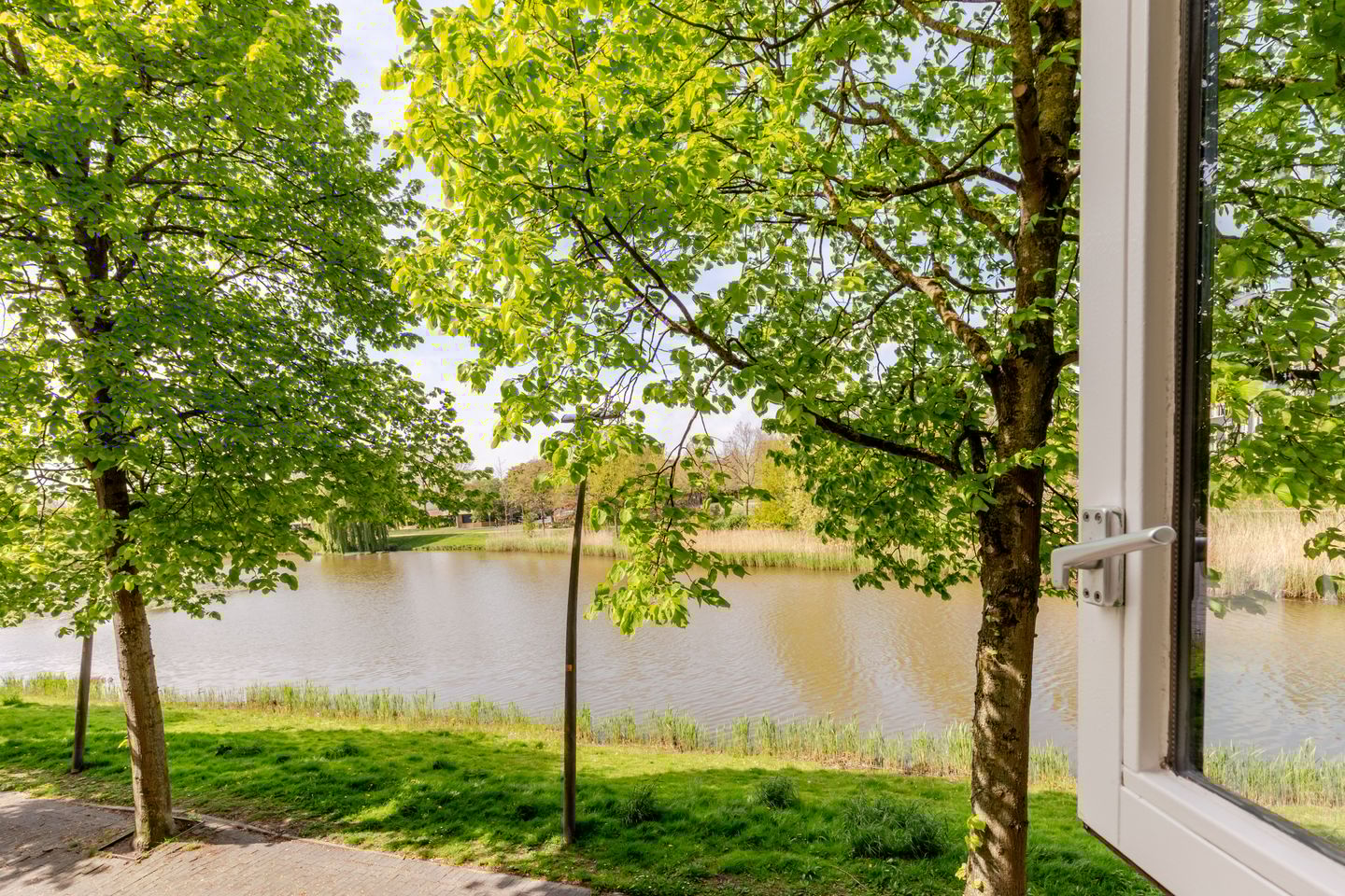 Photo 14 of Vivaldisingel 155