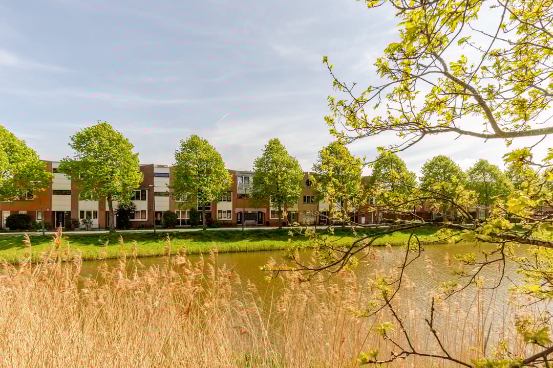 Photo 1 of Vivaldisingel 155