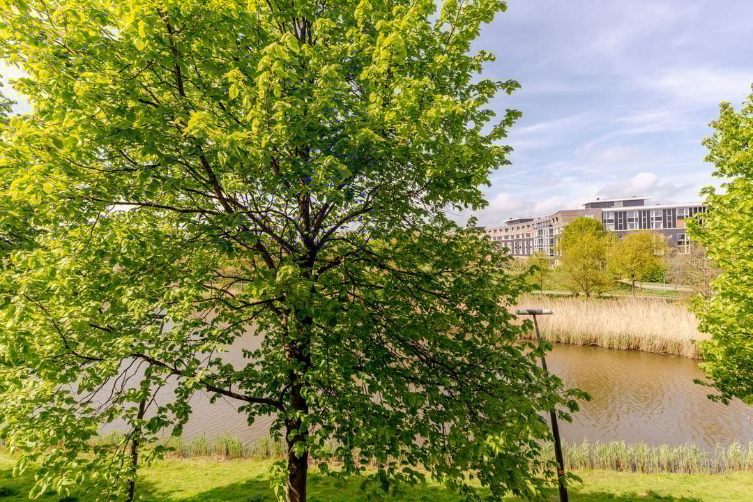 Photo 23 of Vivaldisingel 155