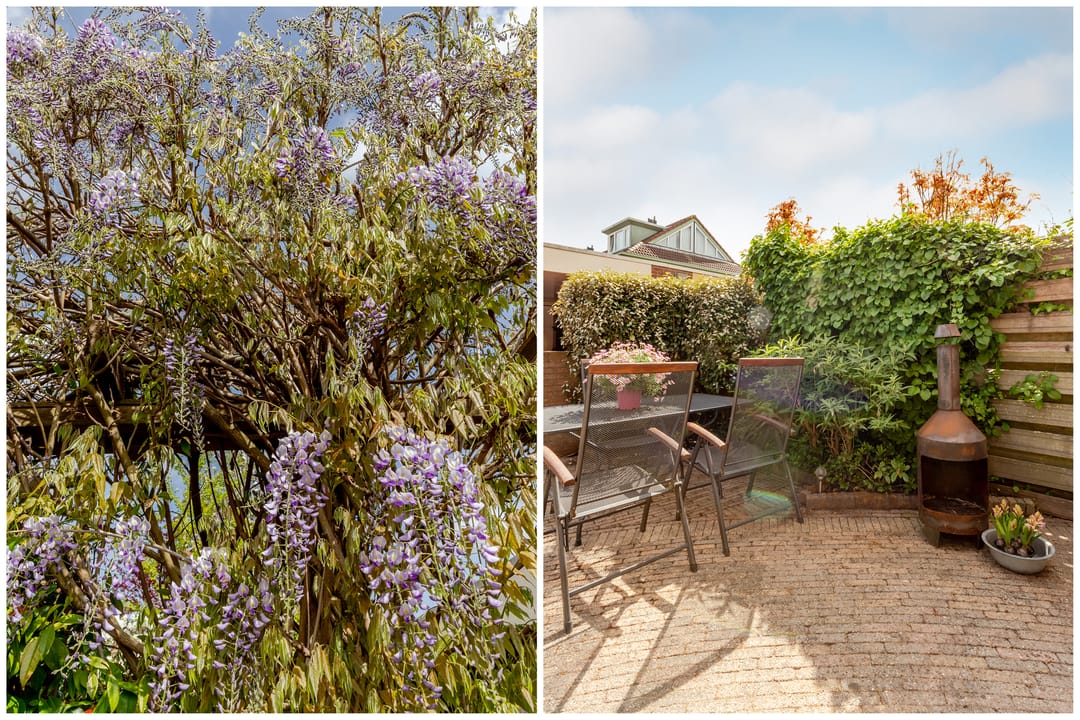 Photo 26 of Vivaldisingel 155