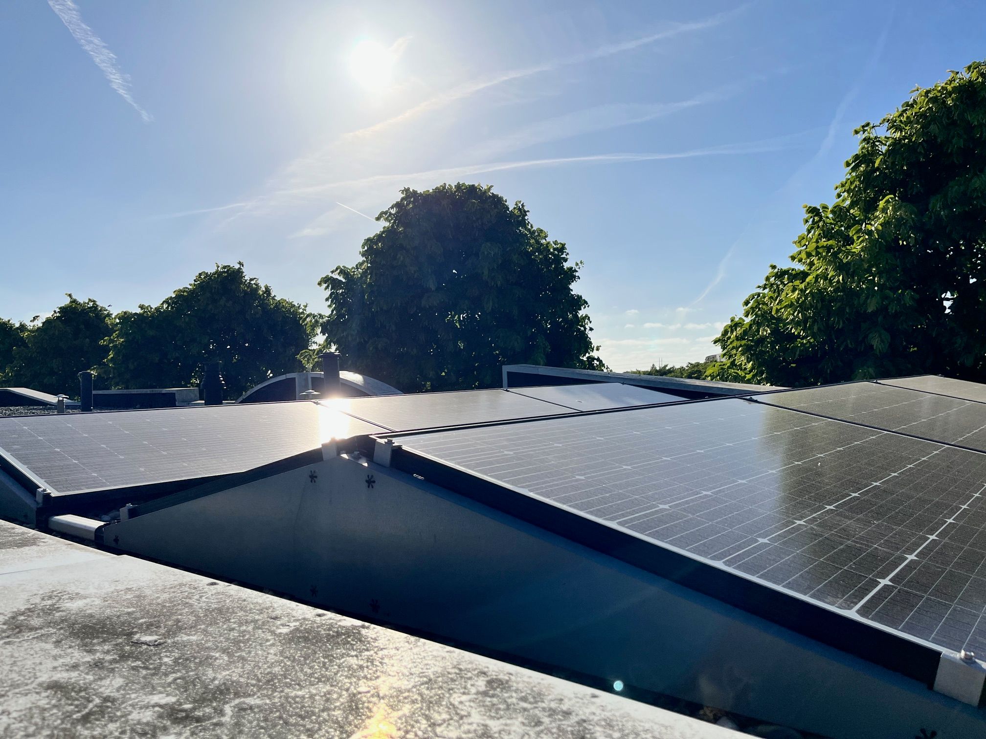 Photo 30 of Vivaldisingel 155