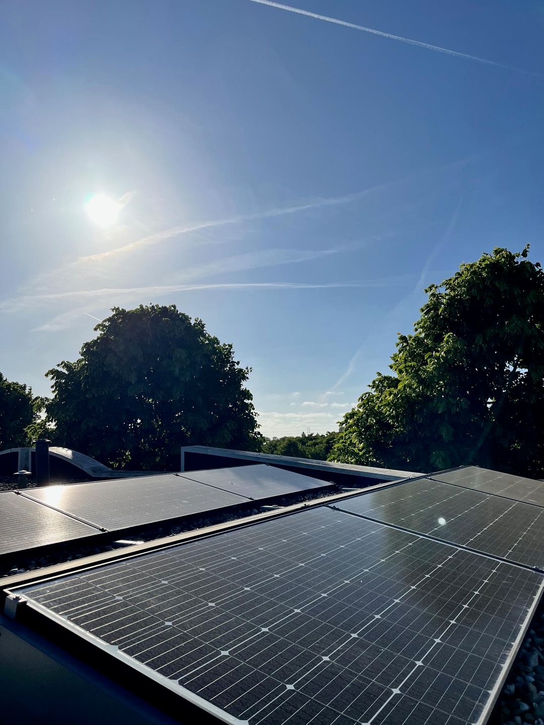 Photo 31 of Vivaldisingel 155