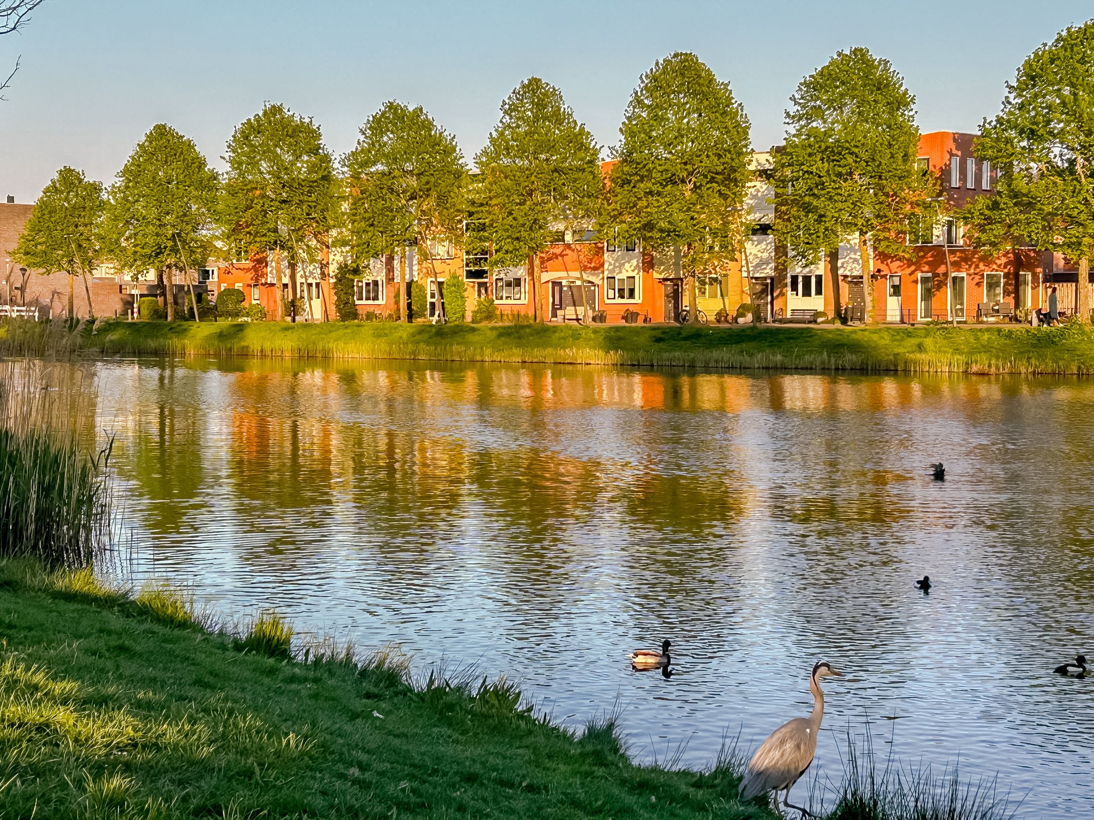 Photo 33 of Vivaldisingel 155