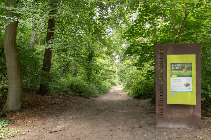 Foto 53 van Händellaan 16