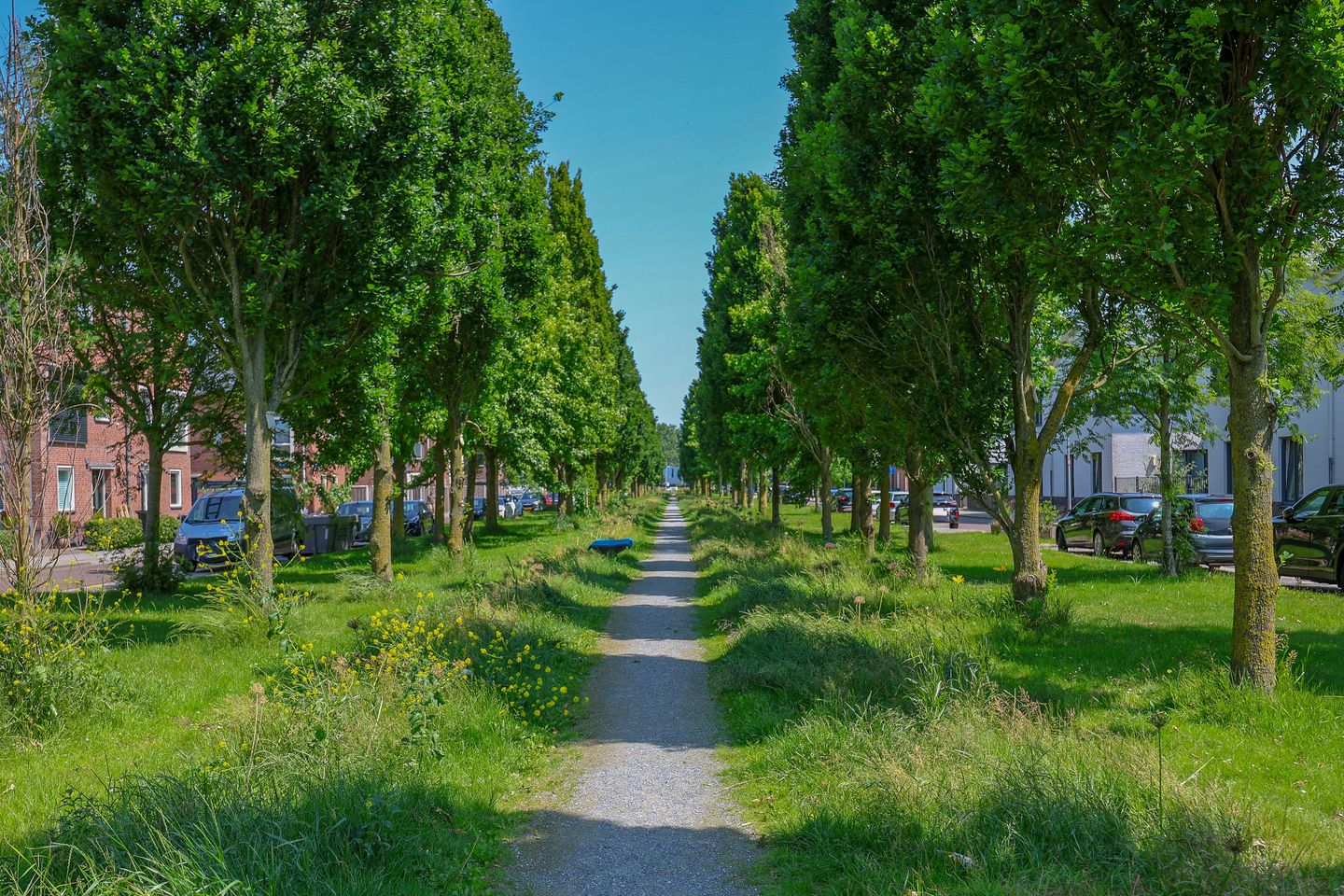 Photo 44 of Sjorsstraat 26