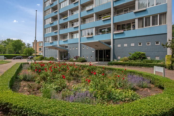 Foto 37 van Ericalaan 119