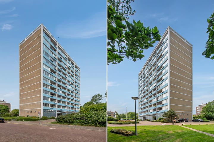 Foto 41 van Ericalaan 119