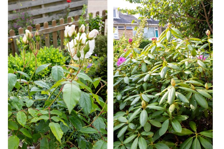 Foto 16 van Cesar Franckstraat 2