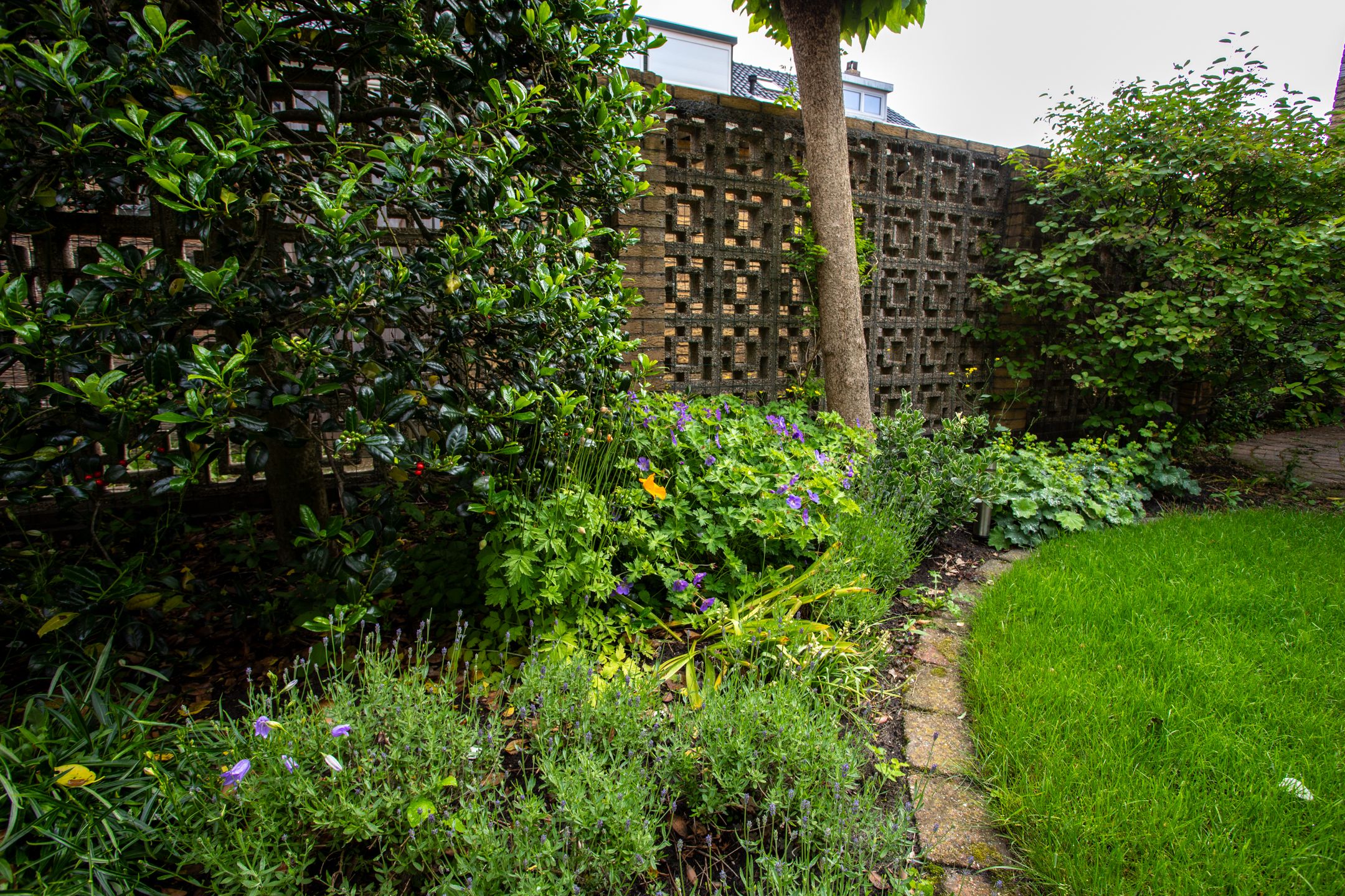 Foto 18 van Cesar Franckstraat 2