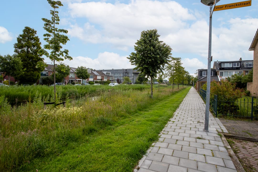 Foto 32 van Cesar Franckstraat 2