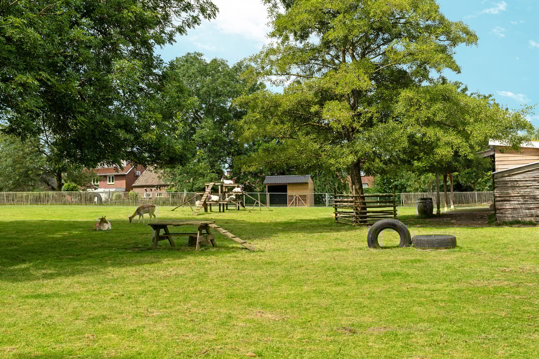 Foto 38 van Black Alicante 132