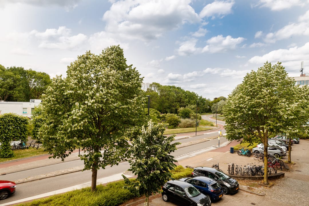 Foto 8 van Aartsbisschop Romerostraat 365