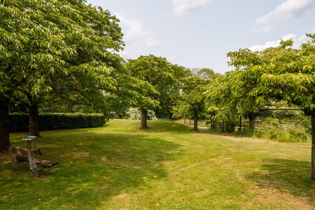 Foto 17 van Aartsbisschop Romerostraat 365