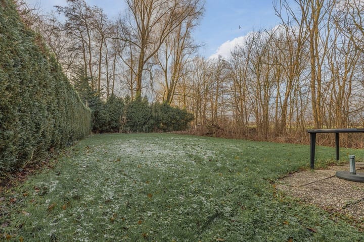 Foto 3 van Groene Heuvels 245