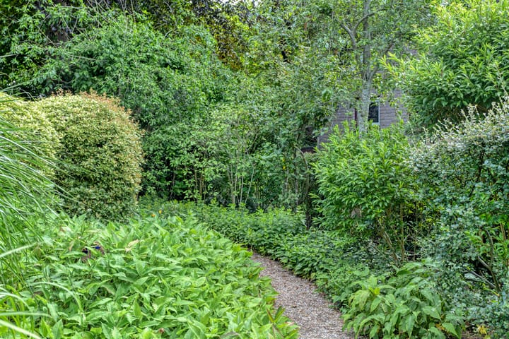 Foto 45 van Rolderdingspillaan 28