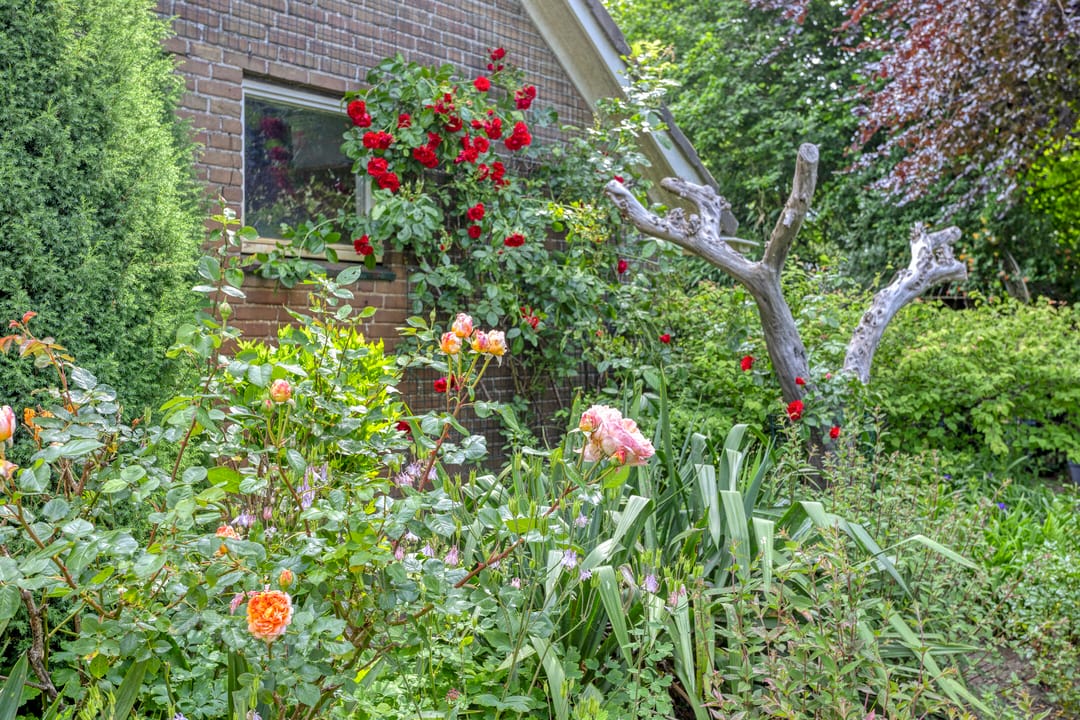 Foto 47 van Rolderdingspillaan 28