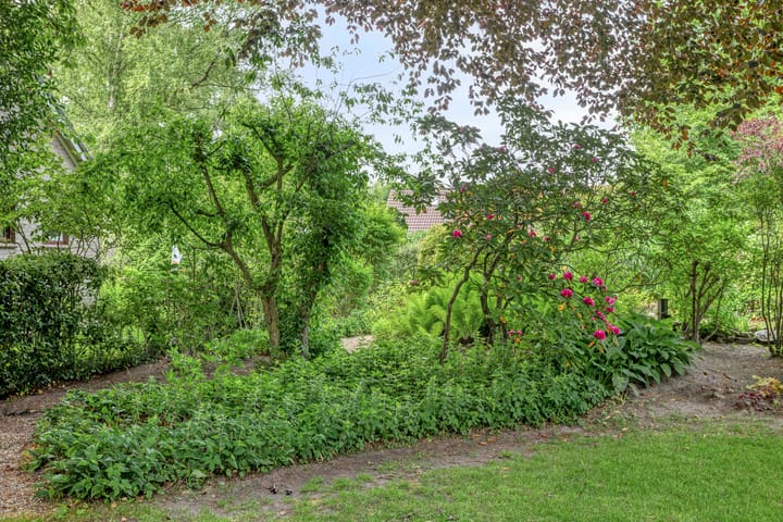 Foto 48 van Rolderdingspillaan 28