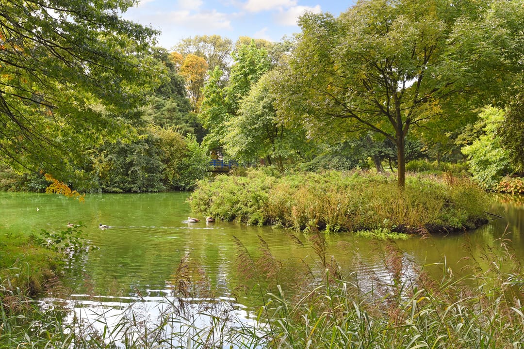 Foto 28 van Jan van Rodestraat 87