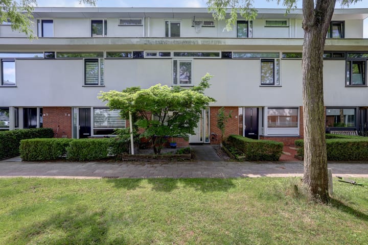 Foto 1 van Barnsteenslak 5