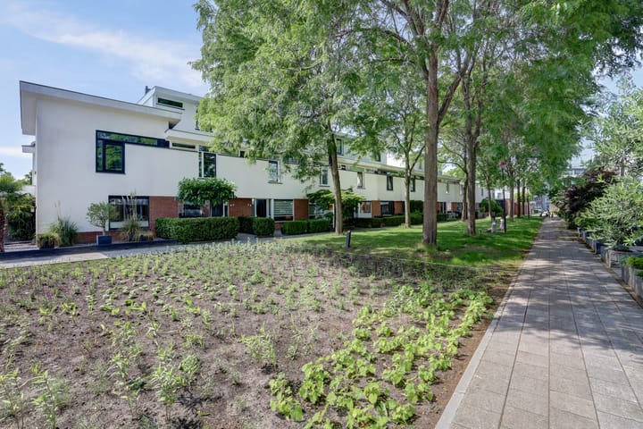 Foto 33 van Barnsteenslak 5