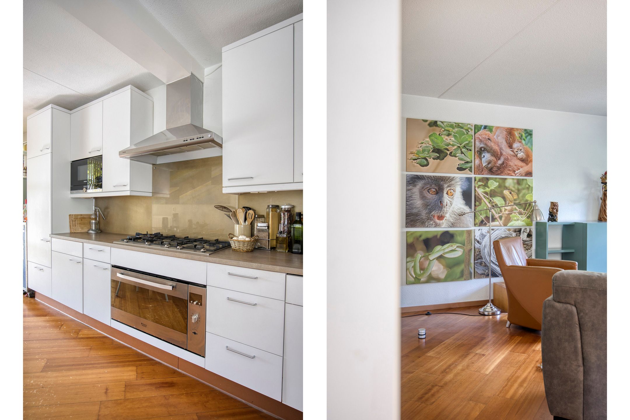 Foto 9 van Afrikalaan 217