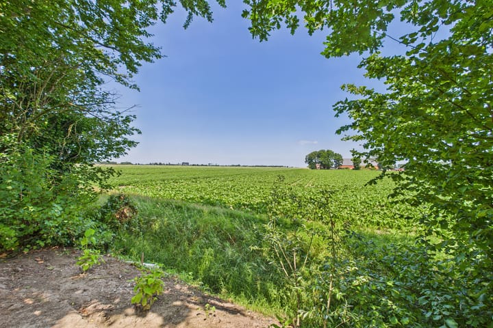 Foto 2 van Schenkeldijk 2