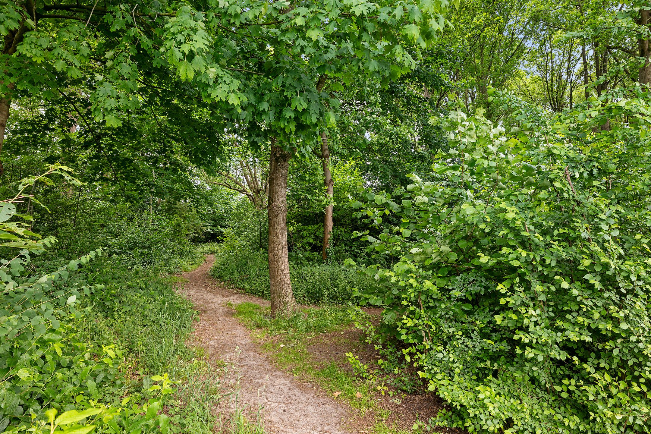 Foto 39 van Bremstraat 51