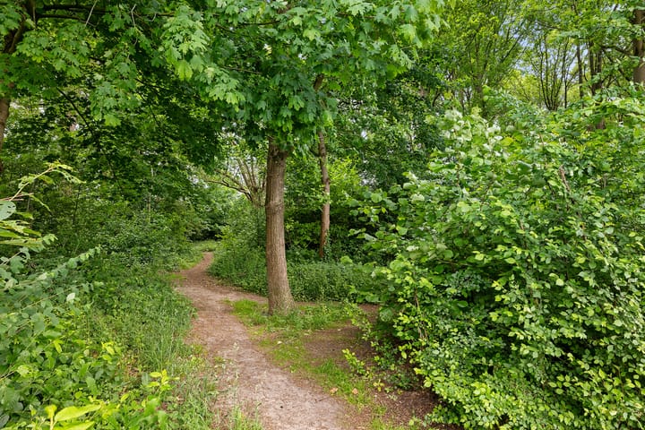 Foto 39 van Bremstraat 51