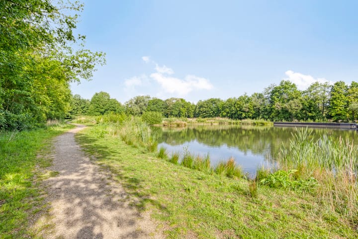 Foto 47 van het Egbertink 11