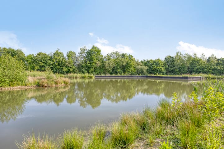 Foto 48 van het Egbertink 11