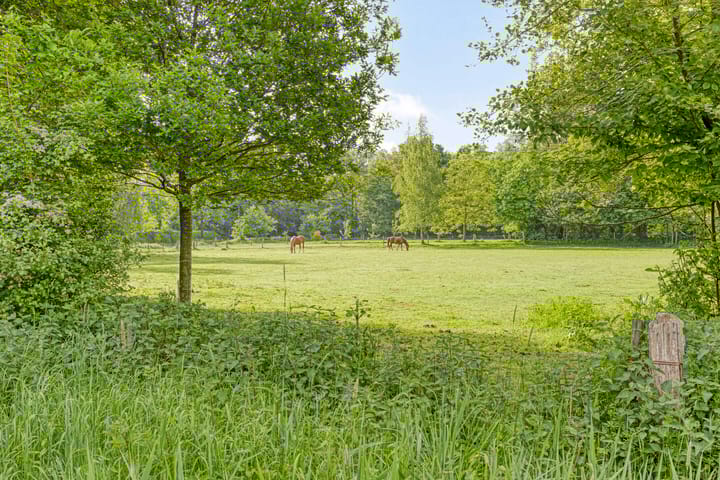 Foto 49 van het Egbertink 11