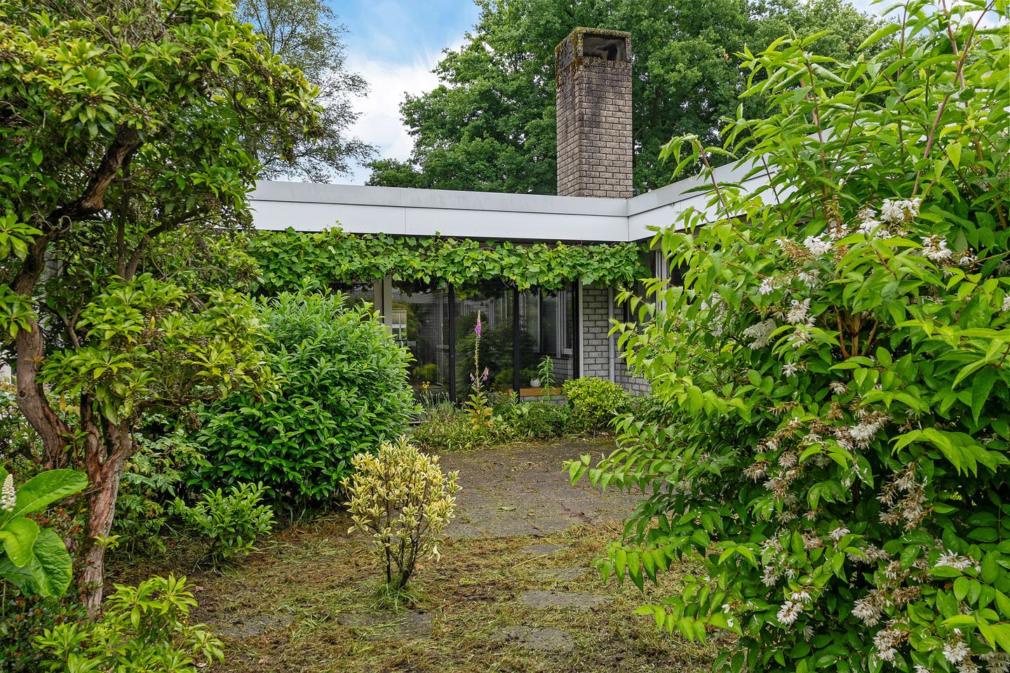 Foto 35 van Reviusstraat 56