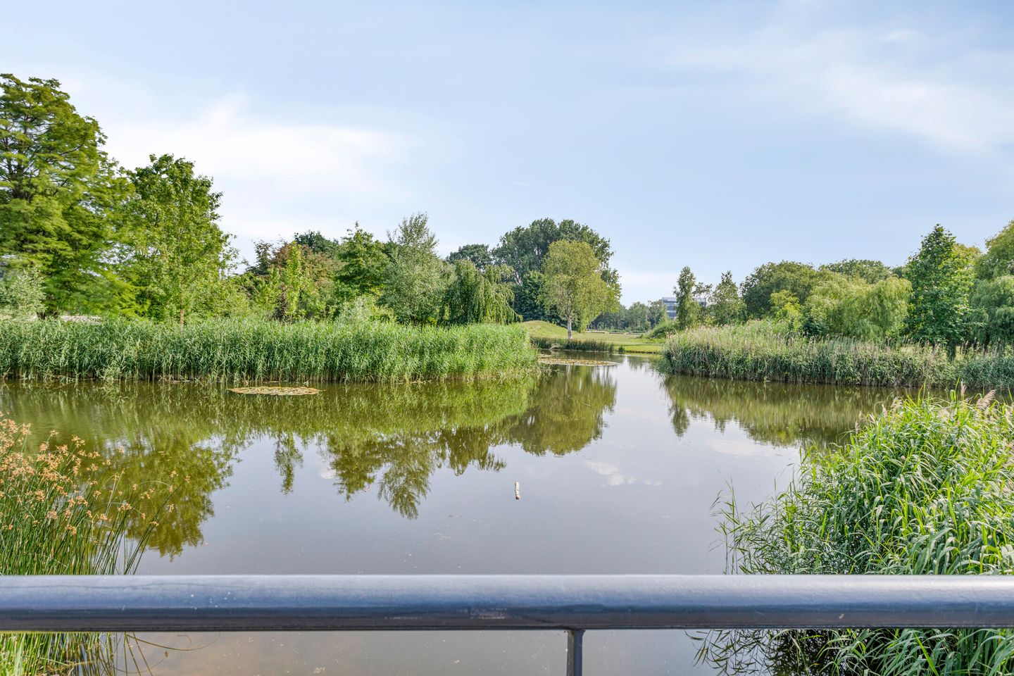 Photo 10 of Hertogenlaan 262