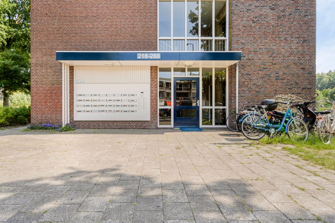 Photo 23 of Hertogenlaan 262