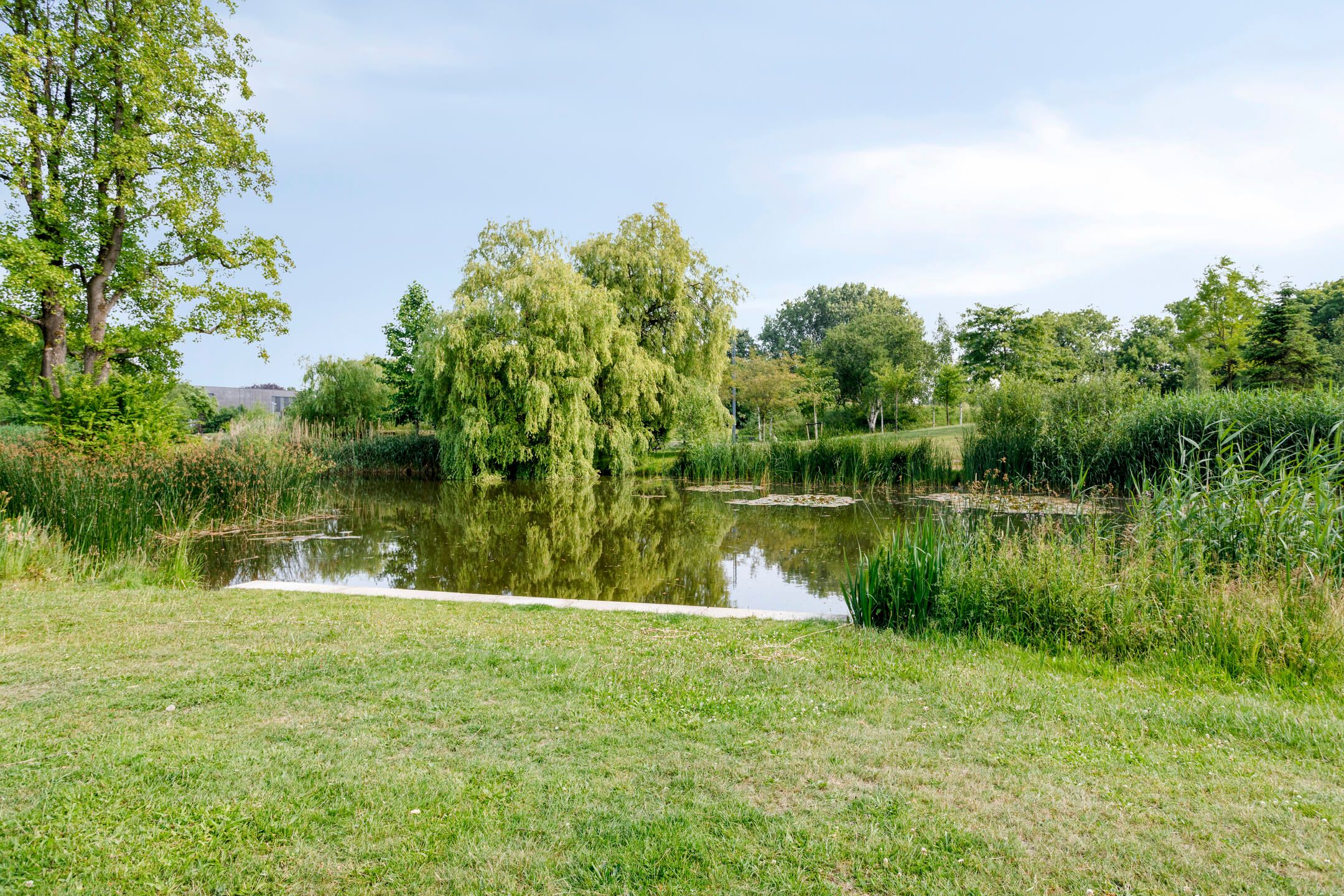 Photo 30 of Hertogenlaan 262