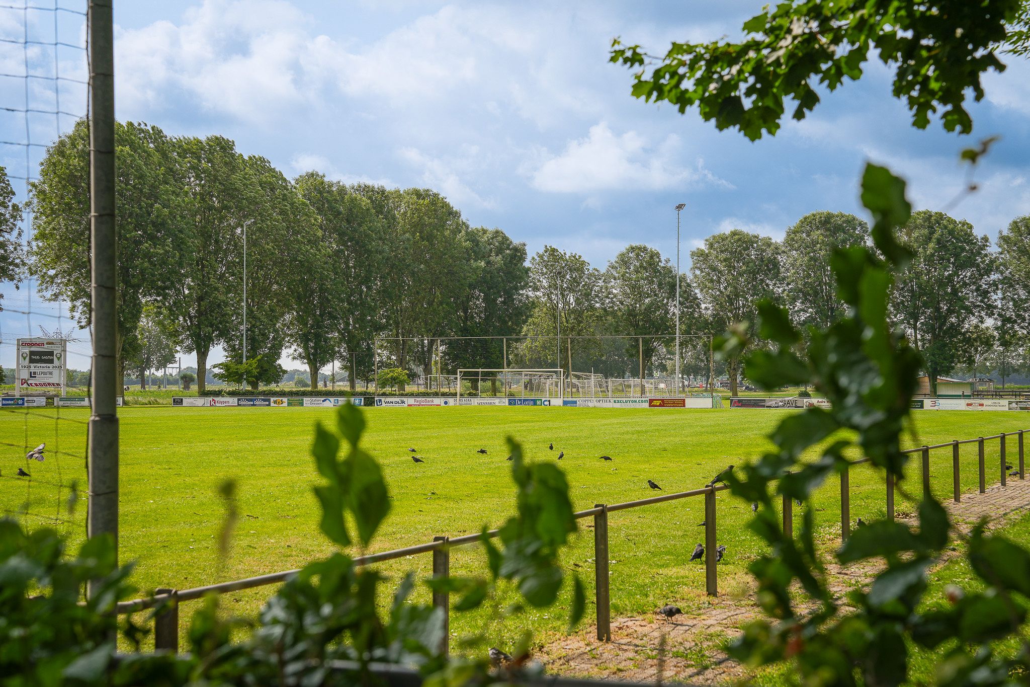 Foto 45 van Ringelenbergstraat 3