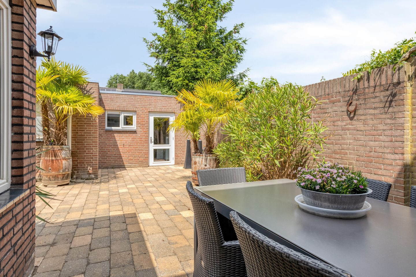 Foto 19 van Pegasus 16