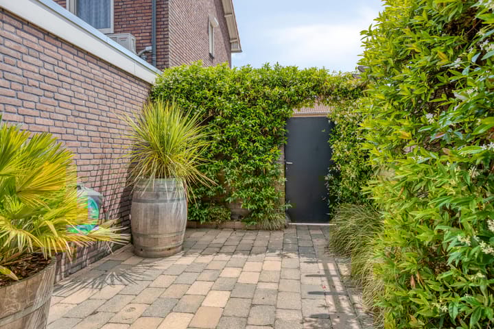 Foto 24 van Pegasus 16