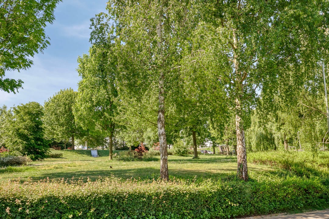 Foto 32 van Donze Visserstraat 11