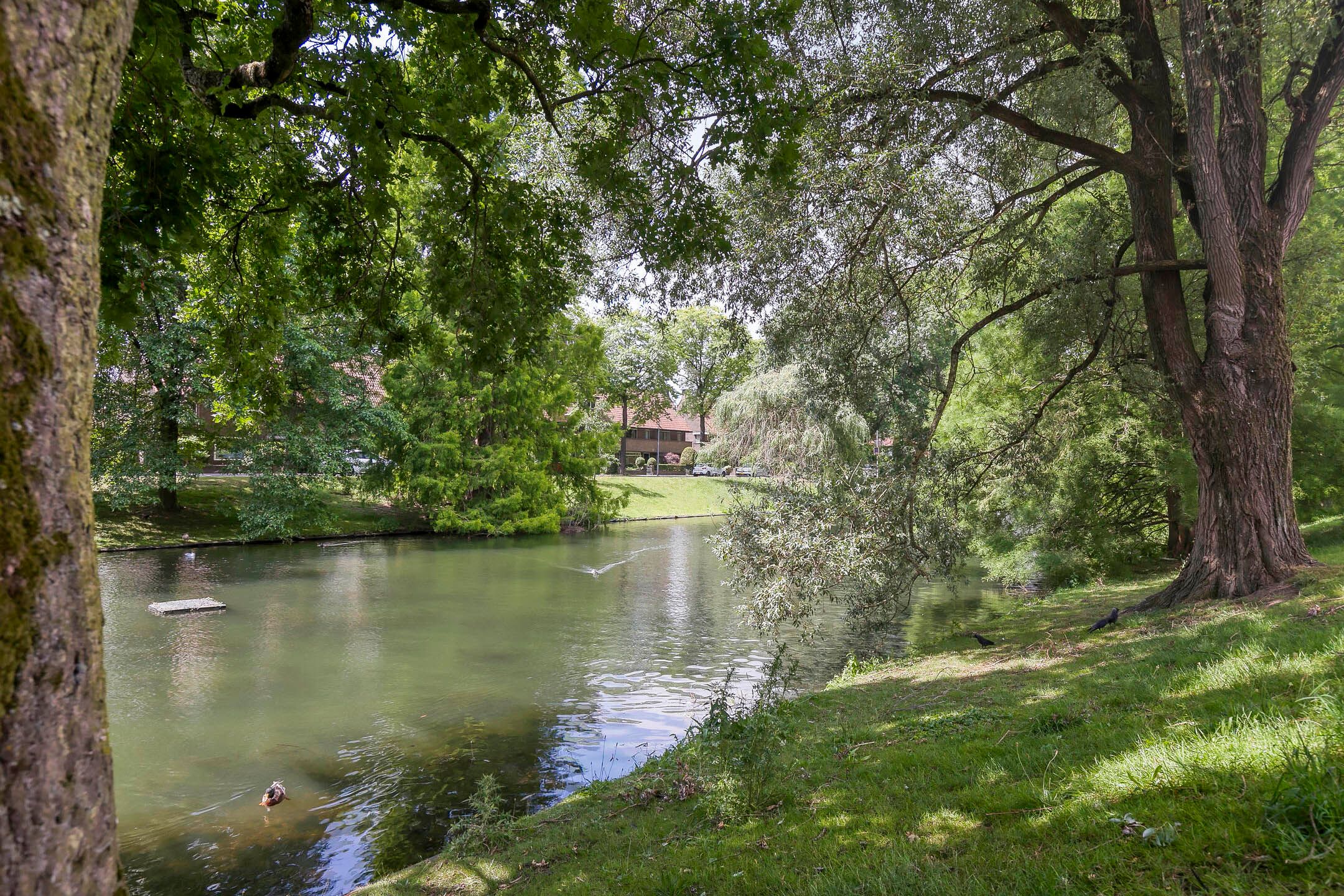 Foto 39 van Neptunusstraat 24