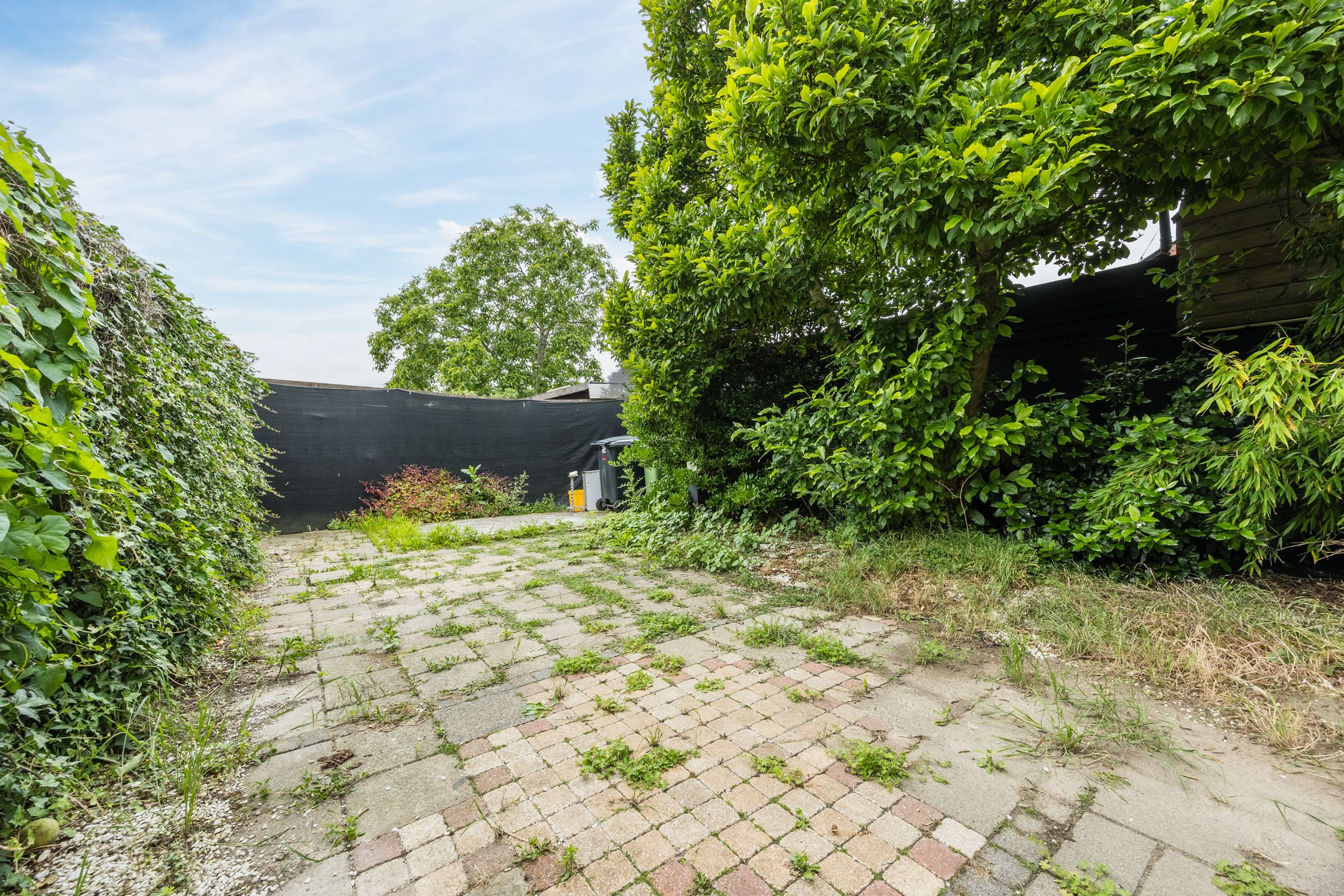 Foto 39 van Antwerpsestraatweg 422