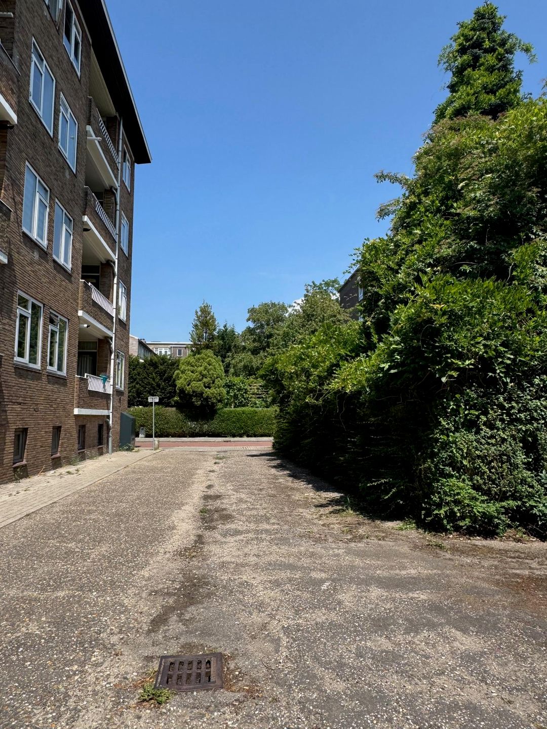 Foto 11 van Huis ten Boschlaan 40