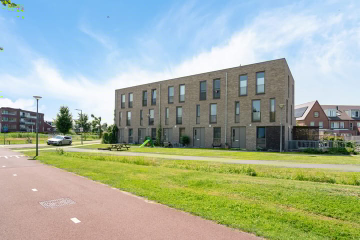 undefined main image