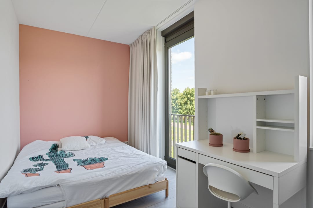 Foto 37 van Einthovenpad 83