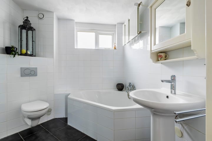 Foto 46 van Skûtsje 43