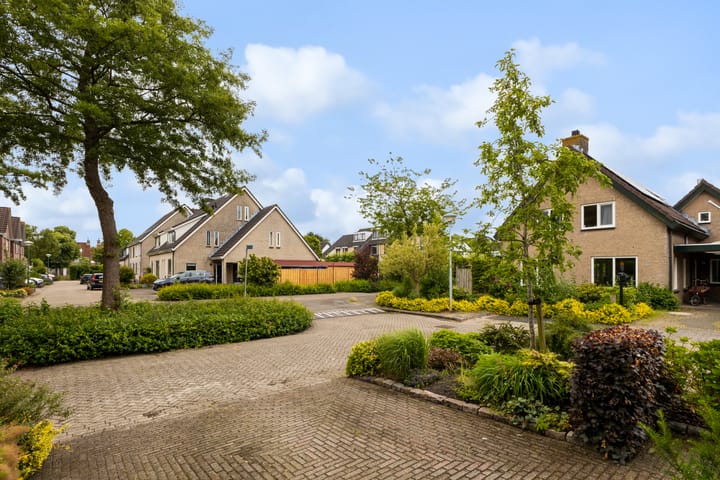 Foto 57 van Skûtsje 43